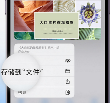 藁城apple维修中心分享iPhone文件应用中存储和找到下载文件