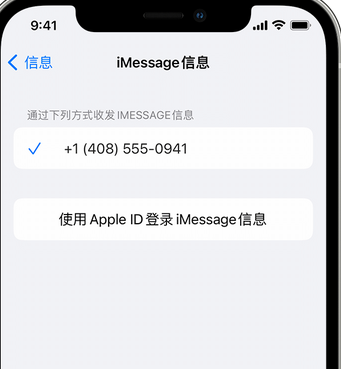 藁城apple维修iPhone上无法正常发送iMessage信息 