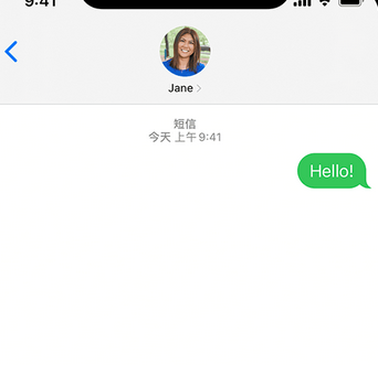 藁城apple维修iPhone上无法正常发送iMessage信息