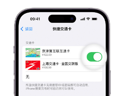 藁城apple维修点分享iPhone上更换Apple Pay快捷交通卡手绘卡面 