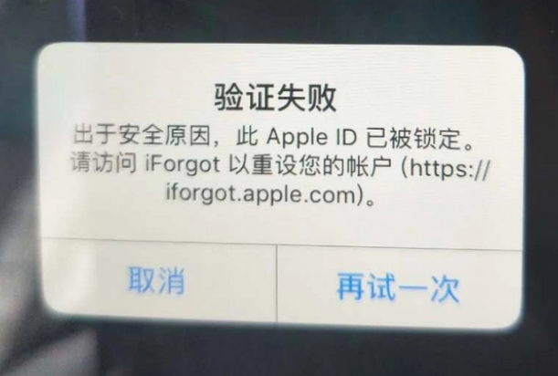 藁城iPhone维修分享iPhone上正常登录或使用AppleID怎么办 