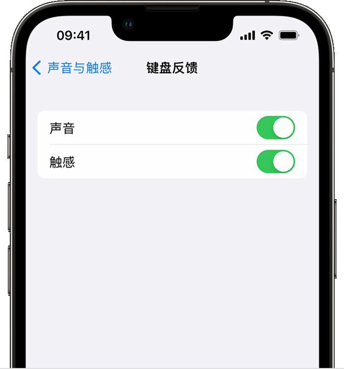 藁城苹果14维修店分享如何在 iPhone 14 机型中使用触感键盘 