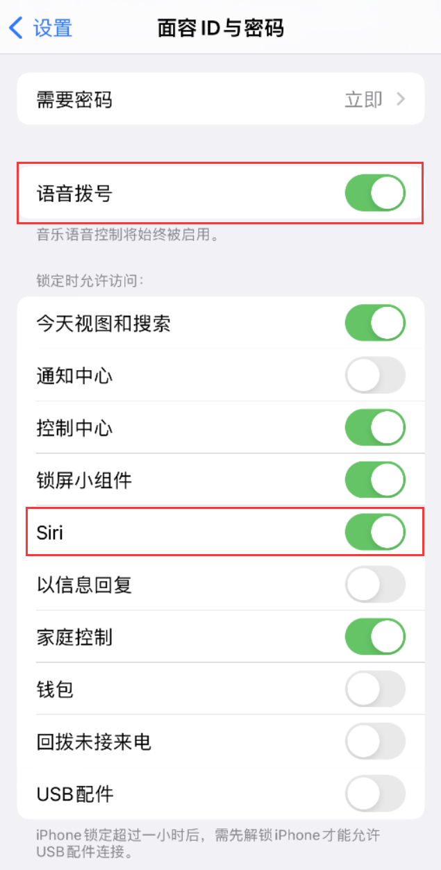 藁城苹果维修网点分享不解锁 iPhone 的情况下通过 Siri 拨打电话的方法 