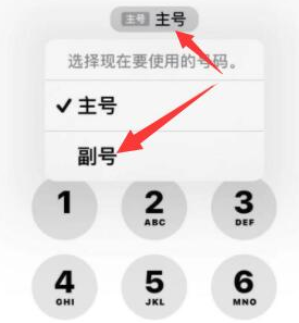 藁城苹果14维修店分享iPhone 14 Pro Max使用副卡打电话的方法 