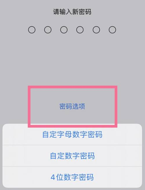 藁城苹果14维修分享iPhone 14plus设置密码的方法 