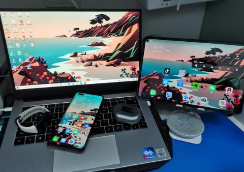 藁城苹果手机维修分享为什么iPad屏幕更大价格却比iPhone低 