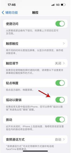 藁城苹果手机维修分享iPhone手机如何设置摇一摇删除文字 