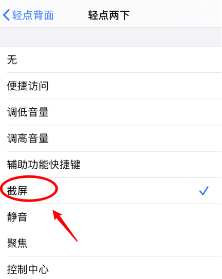 藁城苹果手机维修分享iPhone12如何启用双击截屏 
